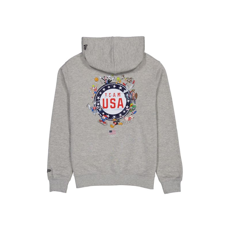 14391538 HOODIE LOONEYTUNESXTEAMUSA LOOTUN GRY R