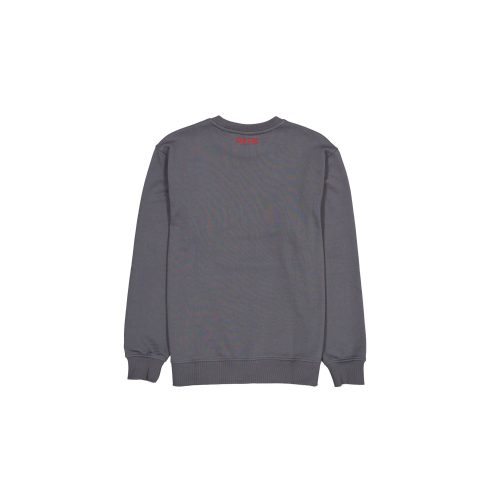 14397934 SWEATSHIRT KOREAFW24 BOSRED GRAY R