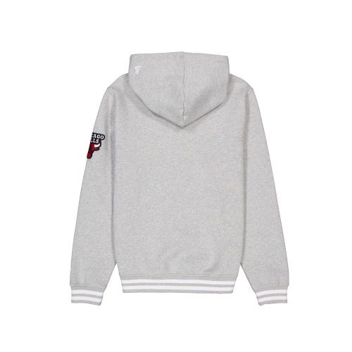 60496730 HOODIE GRAYLOGOSELECT CHIBUL GRY R