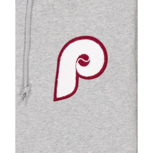 60496742 HOODIE GRAYLOGOSELECT PHIPHICO GRY DETAIL1