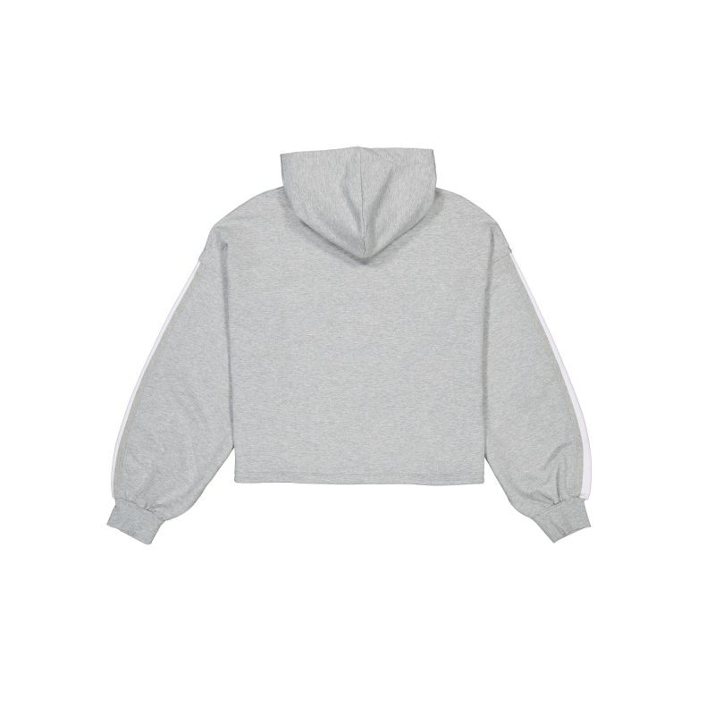 60496829 HOODIE GRAYLOGOSELECT NEYMET GRY R