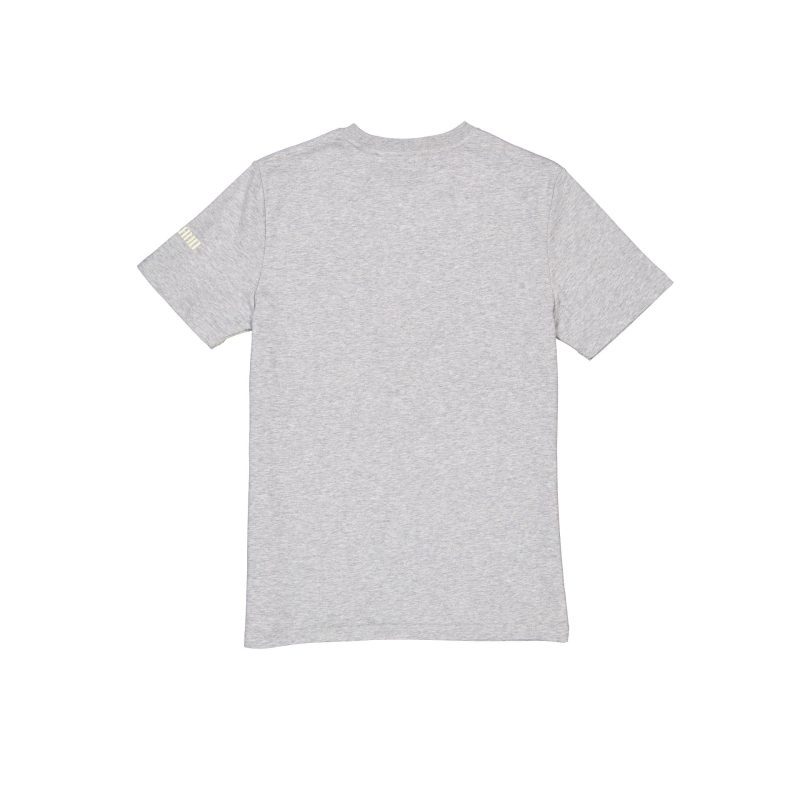 60502105 TSHIRT CITYCONNECT CLEGUACC24 GRY R