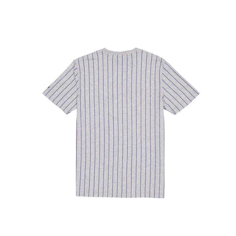 60554806 TSHIRT THROWBACKFW24 DALCOWCC GRY R