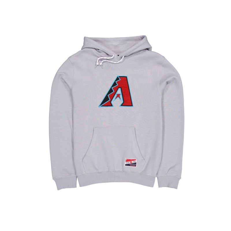 60555277 HOODIE FW24THROWBACK ARIDIA GRY F