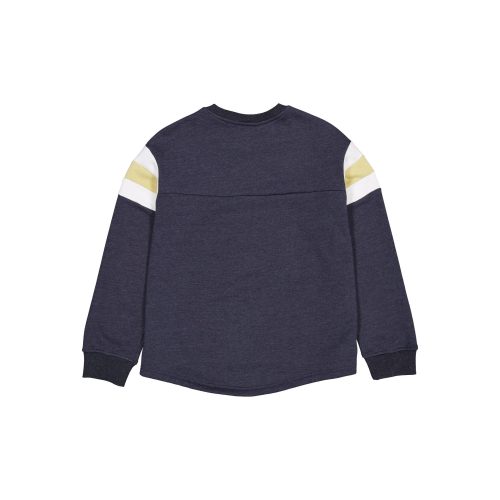 60556710 WCREWNECK FW24THROWBACK HOUASTCO GRY R