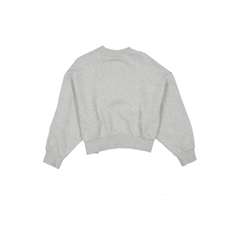 60586148 CREWNECK SPTCLAS25 PITSTE GRY R 20copy