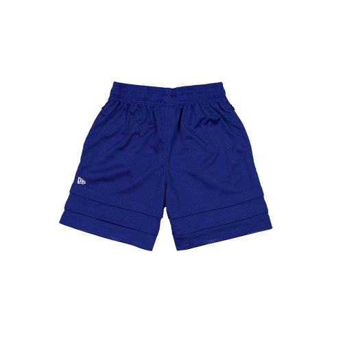 60587879 SHORTS NBAXBRISTOL24 NEYKNI RYL R 090502ef 33d6 45e0 a6d8 bf51177f53fe